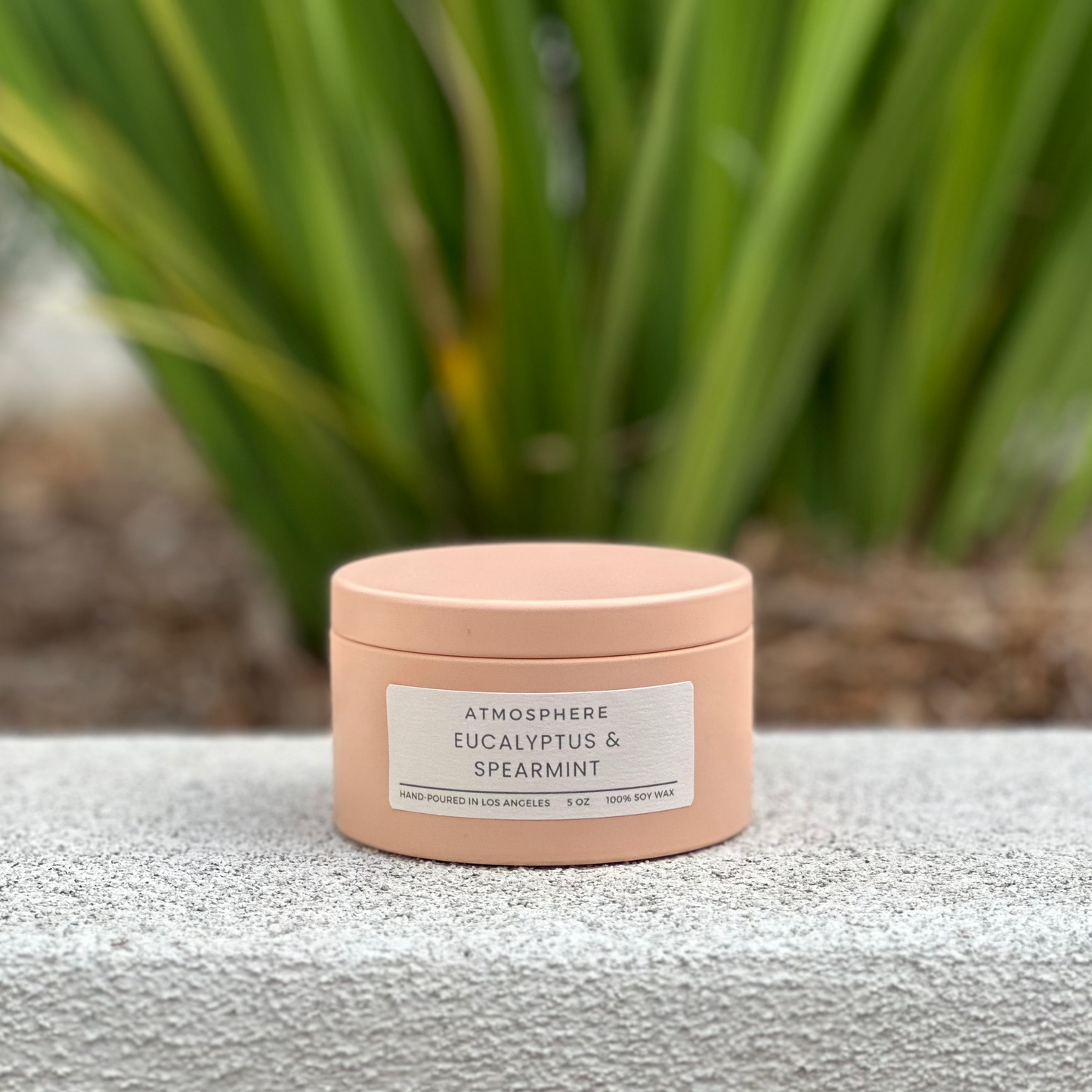 Eucalyptus and Spearmint