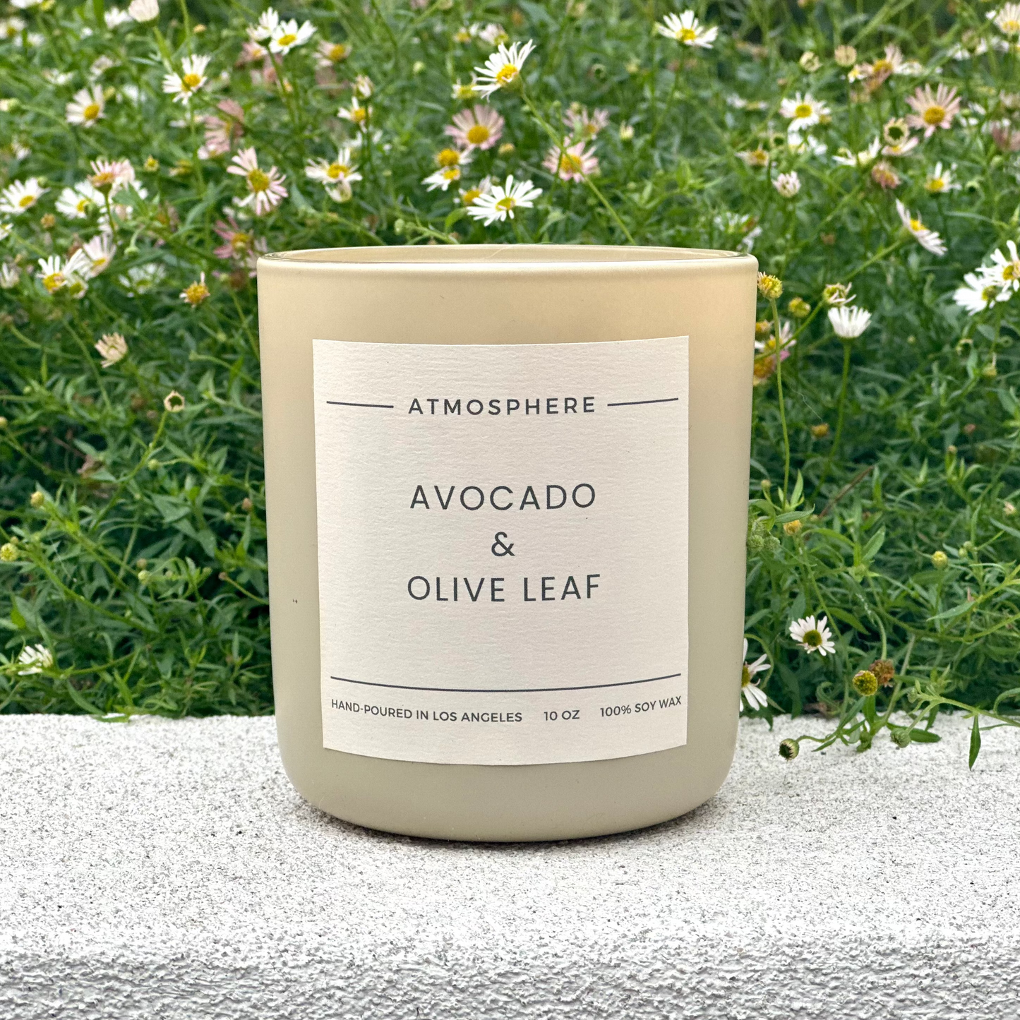 Avocado and Olive Leaf