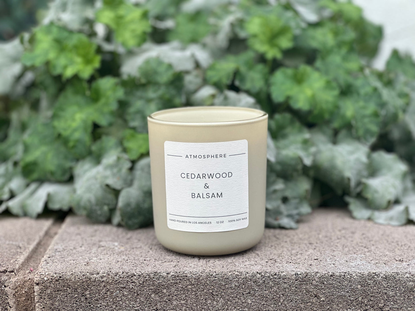 Cedarwood and Balsam